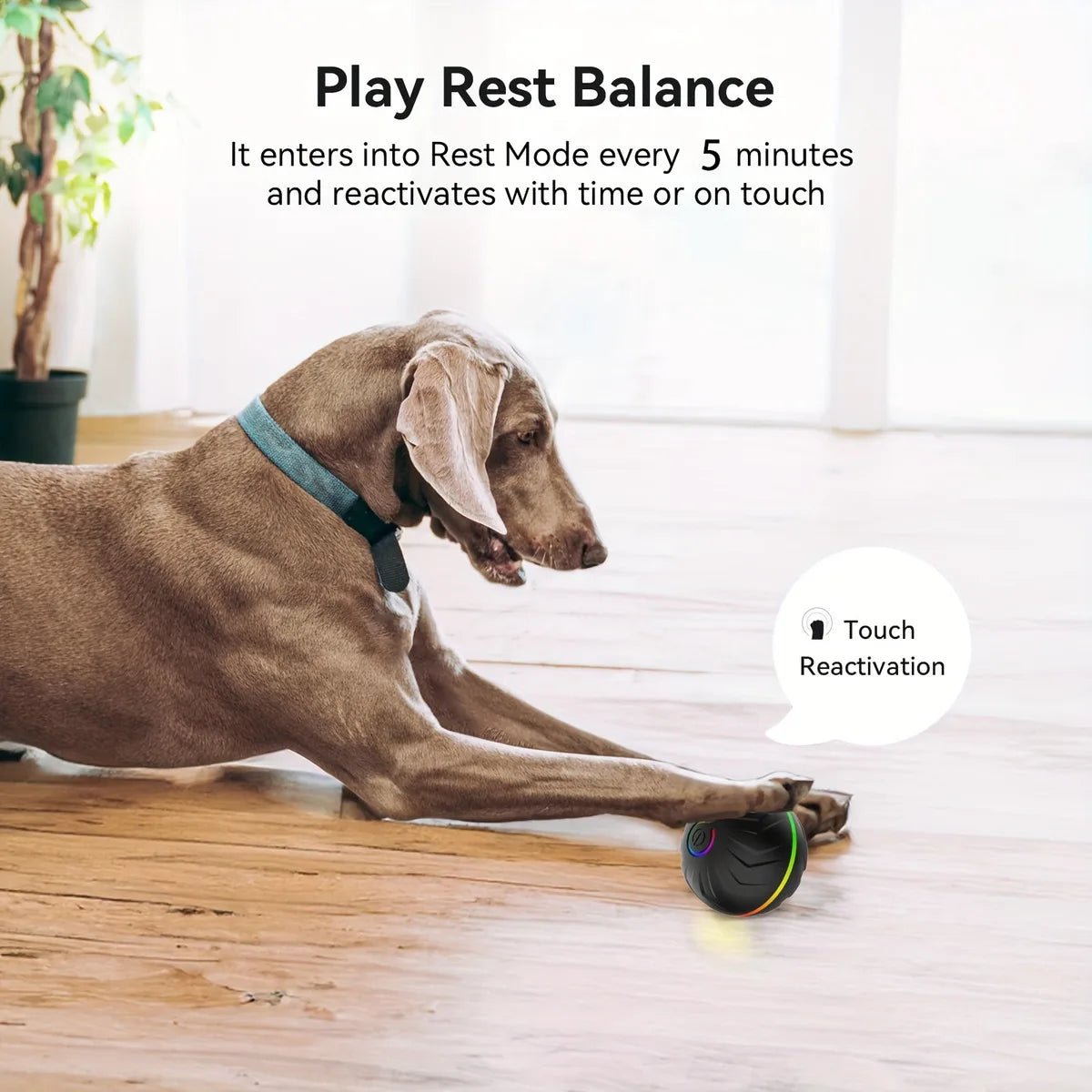 Intelligent Teasing Dog Ball, Interactive Dog Toy
