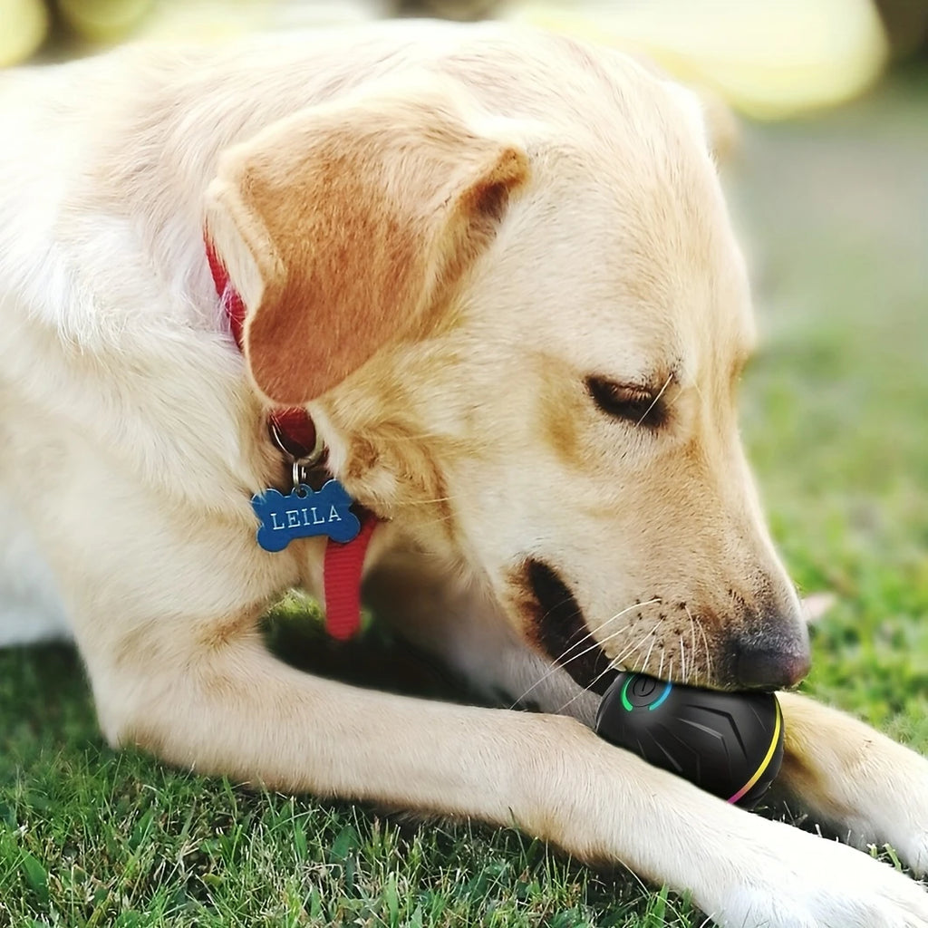 Intelligent Teasing Dog Ball, Interactive Dog Toy